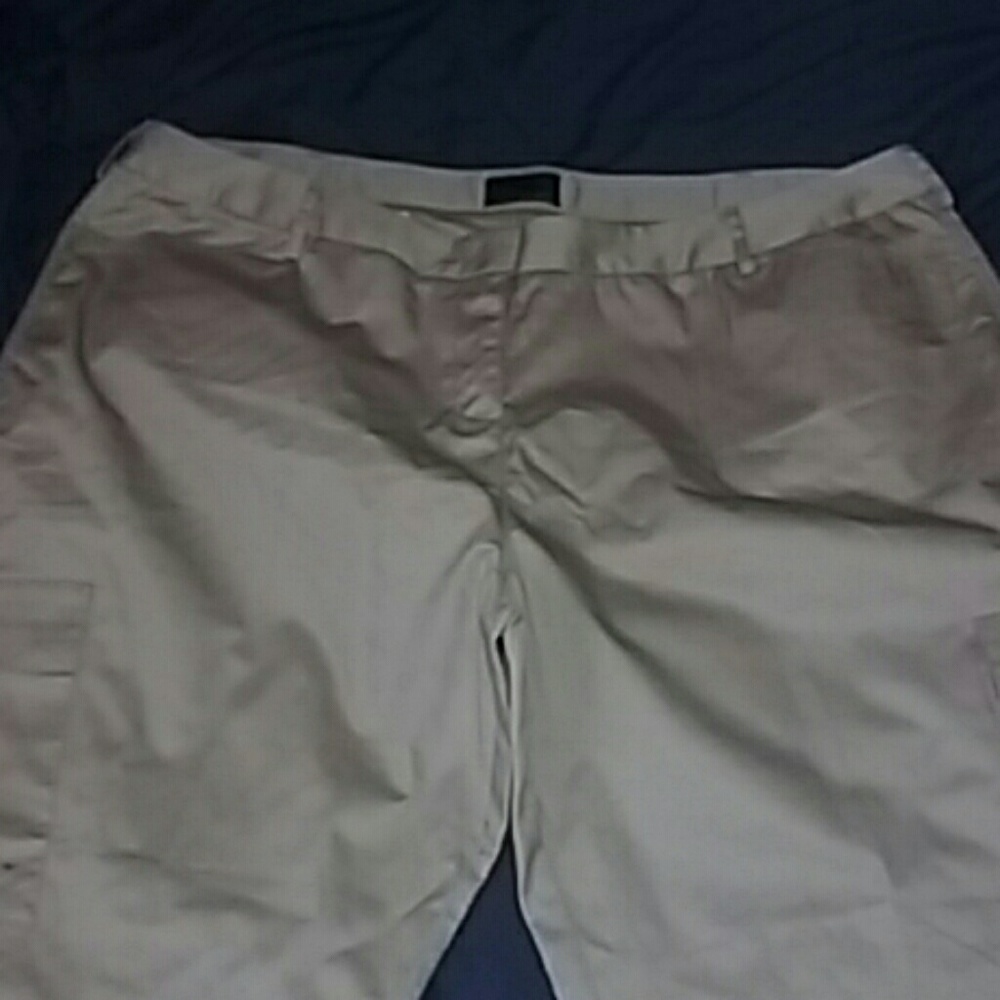 Size 22 khakI cream pants